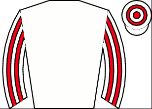 Horse silk