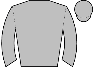 Horse silk