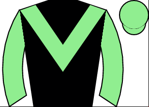 Horse silk