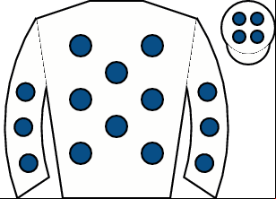Horse silk