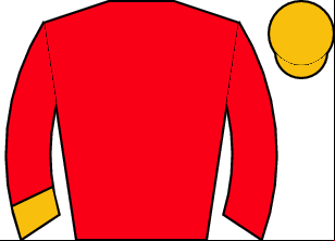 Horse silk