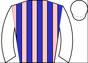 Horse silk
