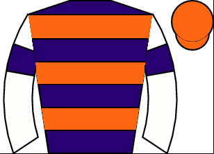 Horse silk