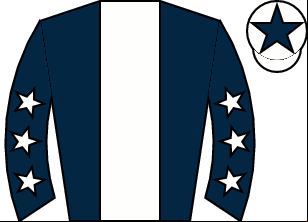 Horse silk