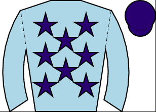 Horse silk