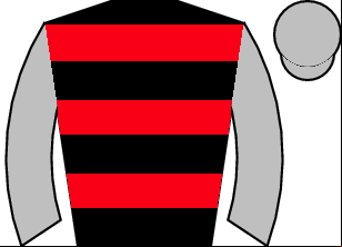 Horse silk
