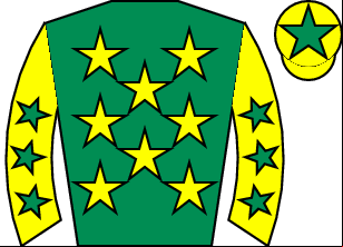 Horse silk