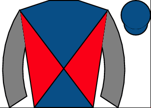 Horse silk