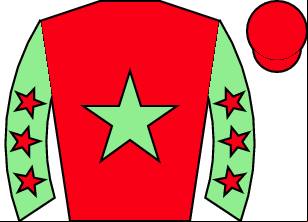 Horse silk