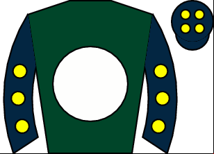 Horse silk