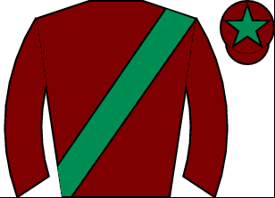 Horse silk