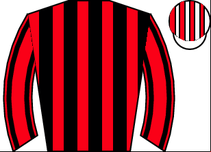 Horse silk