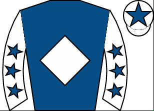 Horse silk
