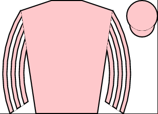 Horse silk