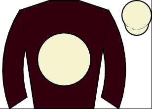 Horse silk