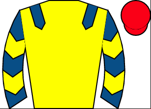 Horse silk