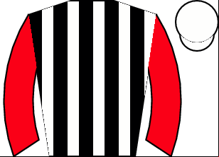 Horse silk