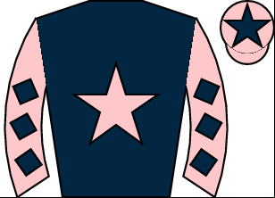 Horse silk