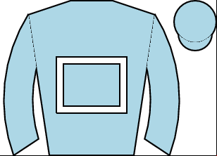 Horse silk