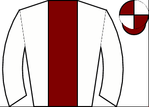 Horse silk