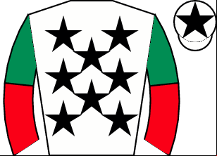 Horse silk