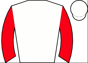 Horse silk