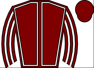 Horse silk