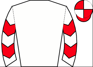 Horse silk