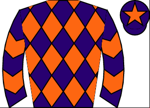 Horse silk