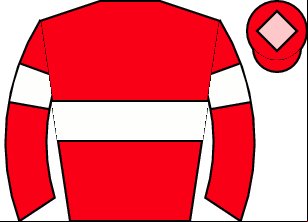 Horse silk