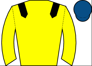 Horse silk