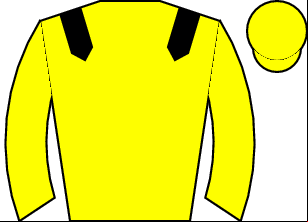 Horse silk