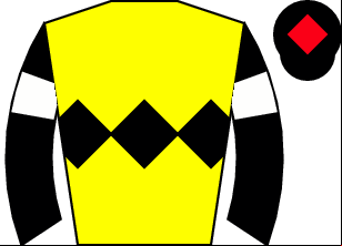 Horse silk