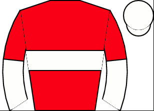 Horse silk