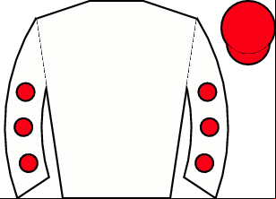 Horse silk