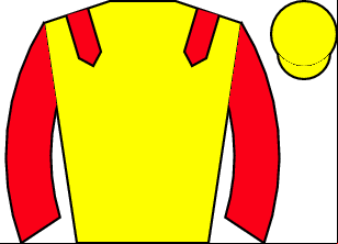 Horse silk