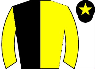Horse silk