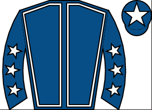 Horse silk