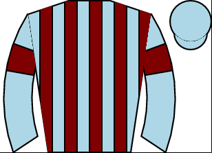 Horse silk