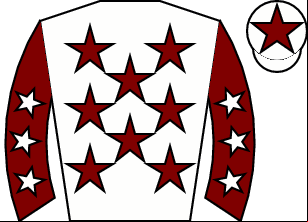 Horse silk