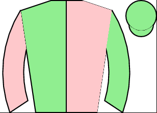 Horse silk
