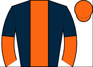 Horse silk