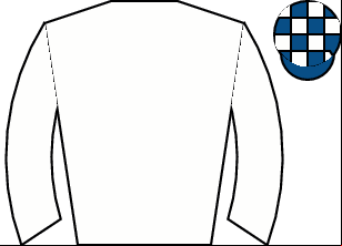 Horse silk