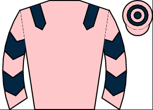 Horse silk