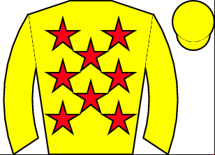 Horse silk