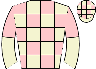 Horse silk