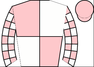 Horse silk