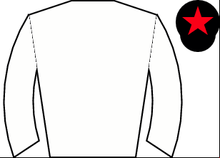 Horse silk