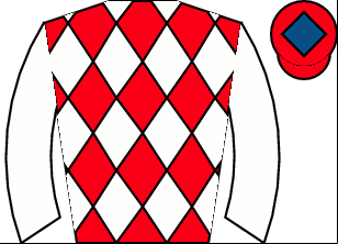 Horse silk