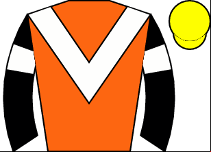 Horse silk